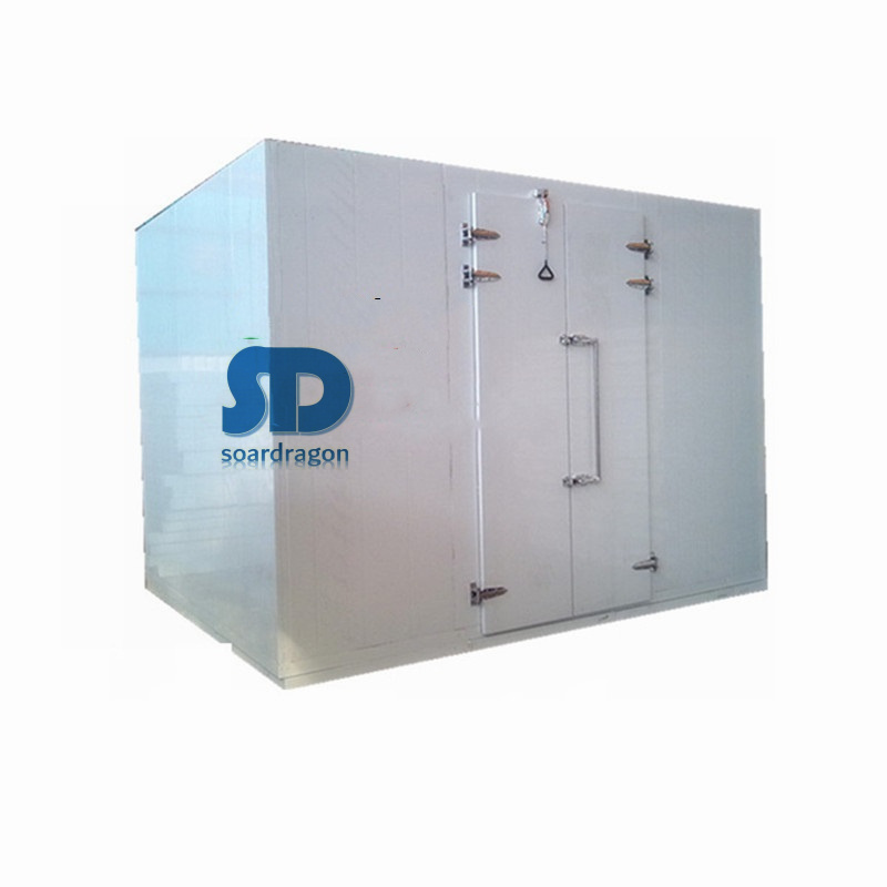 20ft 40ft Container Walk in Cold Storage Room Refrigerator Freezer Commercial Solar Powered Cold Room with Panel