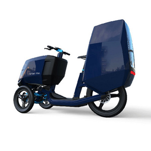 New Model safety 3 wheel fat tire delivery double battery trailer 48V 1000W electric tricycle bicycle electric cargo bike