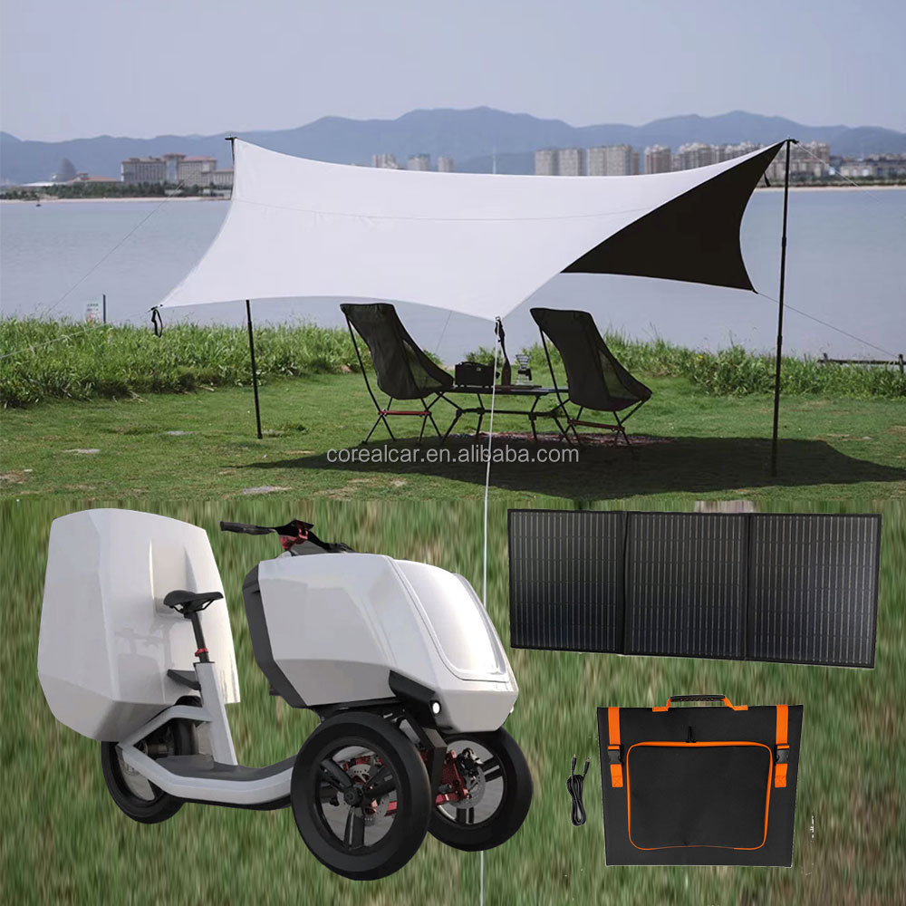 New safety trailer 48V 1000W tricycle bicycle bike fat tire delivery double battery 3 wheel off road eec electric cargo scooter