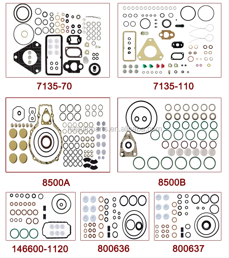 High Quality diesel fuel pump repair kit 2427010049 Diesel Pump Repair Kit 2 427 010 049 Engine Auto Parts Kits 2427010049