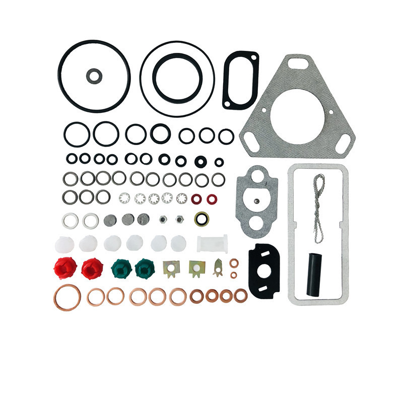 FST hot-selling diesel fuel injection pump engine parts repair kits 7135-110 800410