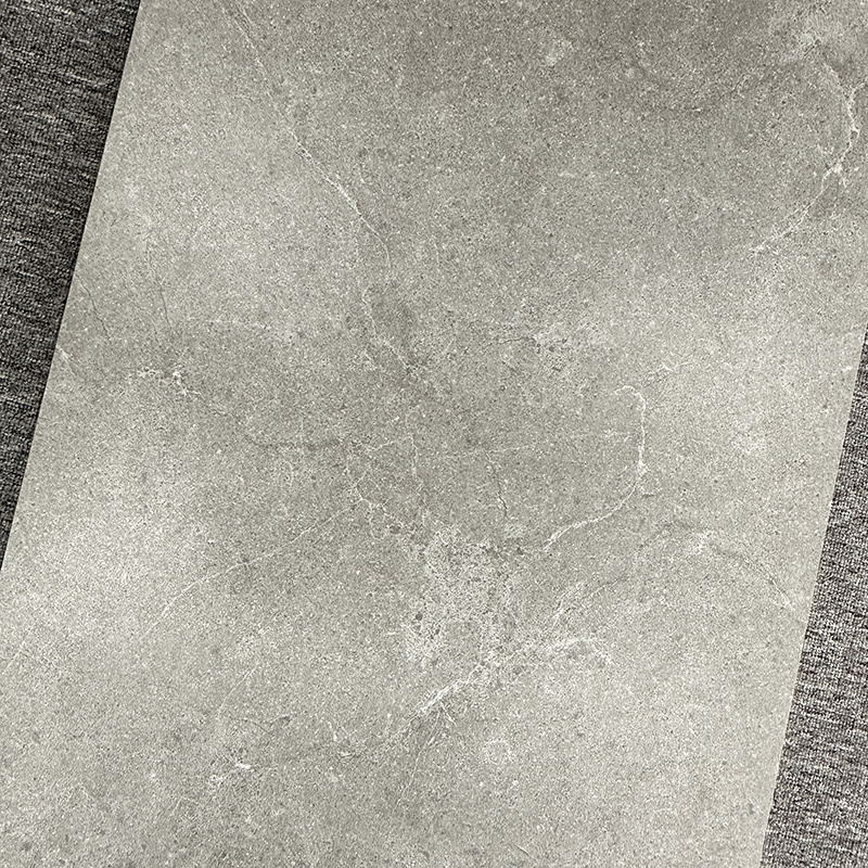 Chinese 600*1200 Flooring Concrete Matt Plain Grey Porcelain Floor Ceramic Tile 60x120