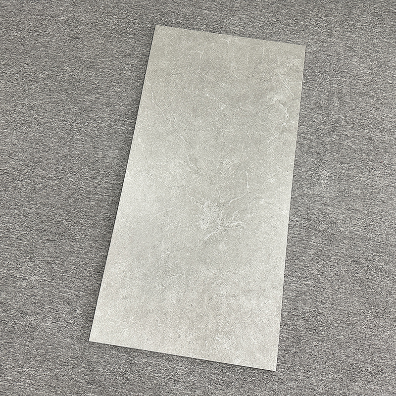 Chinese 600*1200 Flooring Concrete Matt Plain Grey Porcelain Floor Ceramic Tile 60x120