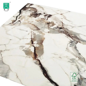 TianGe Best Decorative Acrylic 2Mm Panel High Gloss Marble Uv Sheet 1220*2440*5Mm Pvc Board