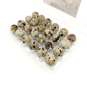 Custom Portable 30 Quail Eggs Tray Plastic Packaging Carton 12 Duck Egg Tray