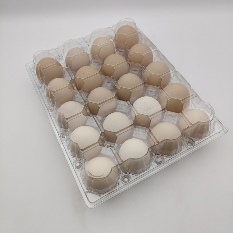 Custom PVC Clear Plastic Egg Tray Packaging 30 Holes Disposable Blister Quail And Duck Egg Tray