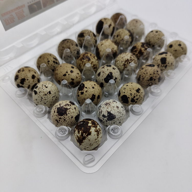 Custom Portable 30 Quail Eggs Tray Plastic Packaging Carton 12 Duck Egg Tray