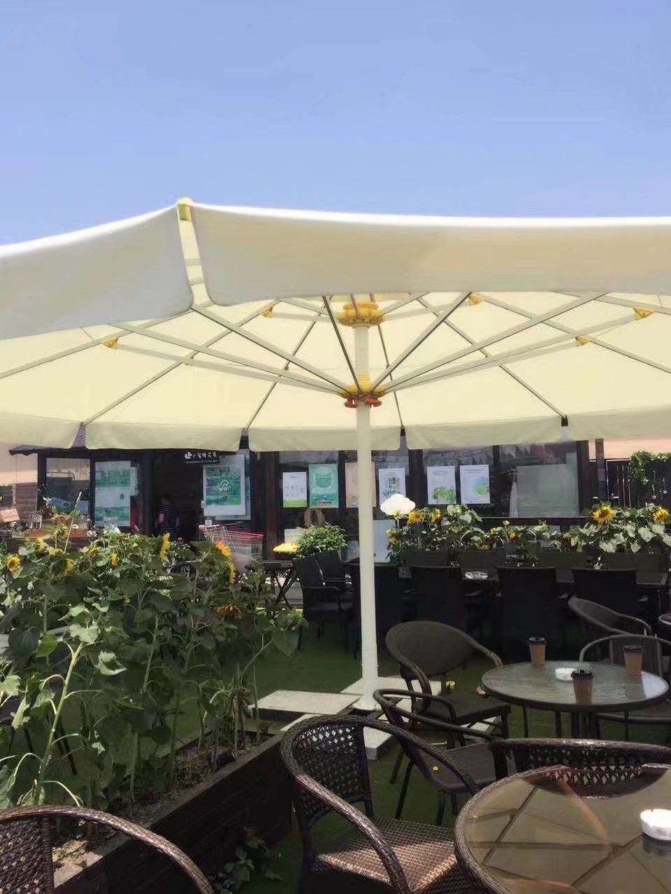 7m big outdoor restaurant giant umbrella heavy duty large commercial  parasol