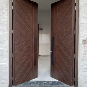 Wincent Latest Design Luxury Style Exterior Pivot Double Side Main Door Gate With Smart Door Lock