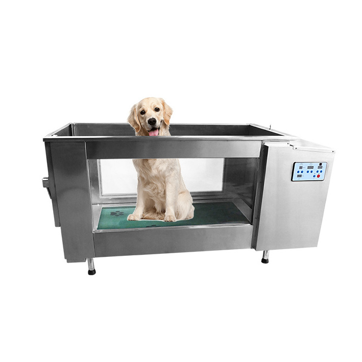 Hot Sale Pet Dog Water Treadmill Sports Training Running Machine Lose Weight Animal Electric Underwater Treadmill