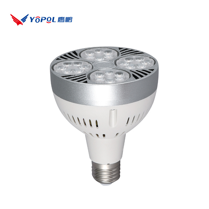 Round 25W/35W/45W Led Spot Light Spotlight Par30 Bulb Spotlight Aluminum Indoor Frame 30W Gallery White Mall Modern Small Light