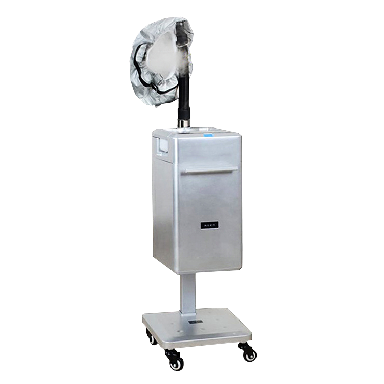 Nano Negative Ion Micro Mist Machine with Micro Fog and Deep Repair and Micromis Hair Steamer Cap for Hair Care SPA Moisturizing