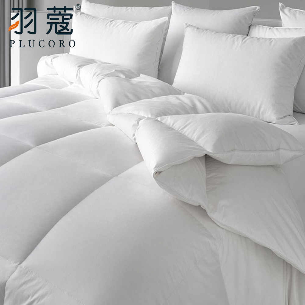 2024 All Sizes Hotel Winter Microfiber Down Filling Duvet Insert For Five Star