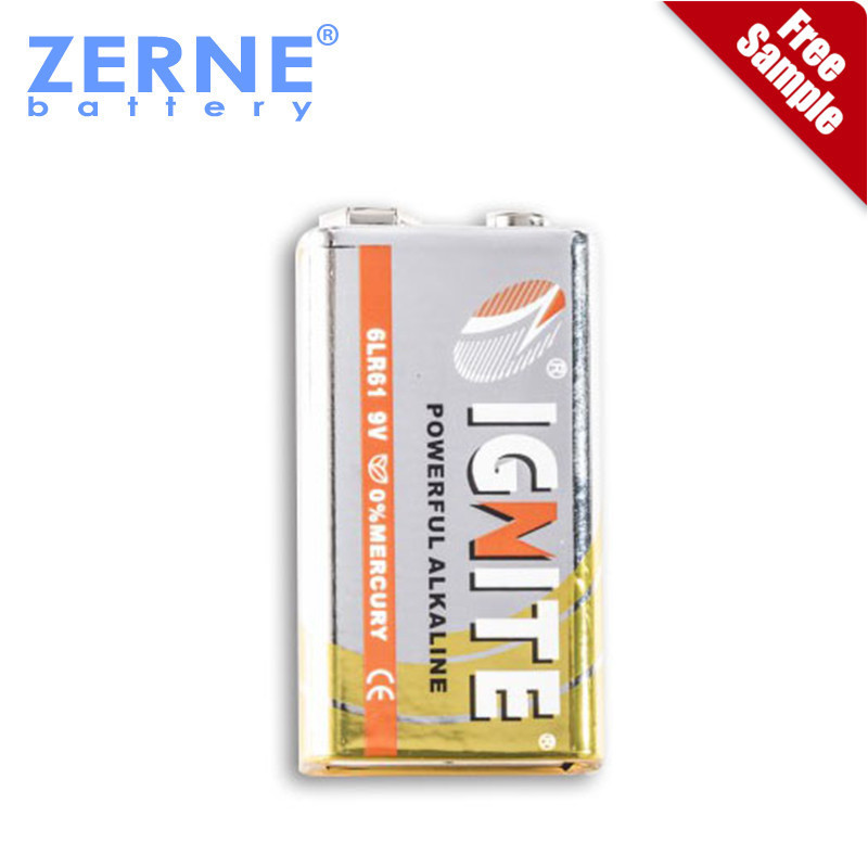 Wholesale 1.5V Dry Battery LR4 Size C Alkaline Bat Flashlight Battery