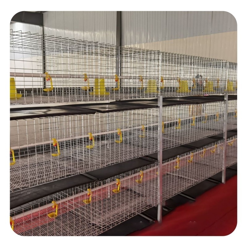 Chicken Cage Broiler Equipment H Frame Feeding Cage for Broiler Chicken Poultry Farm Coop Design Battery Chicken Cage System