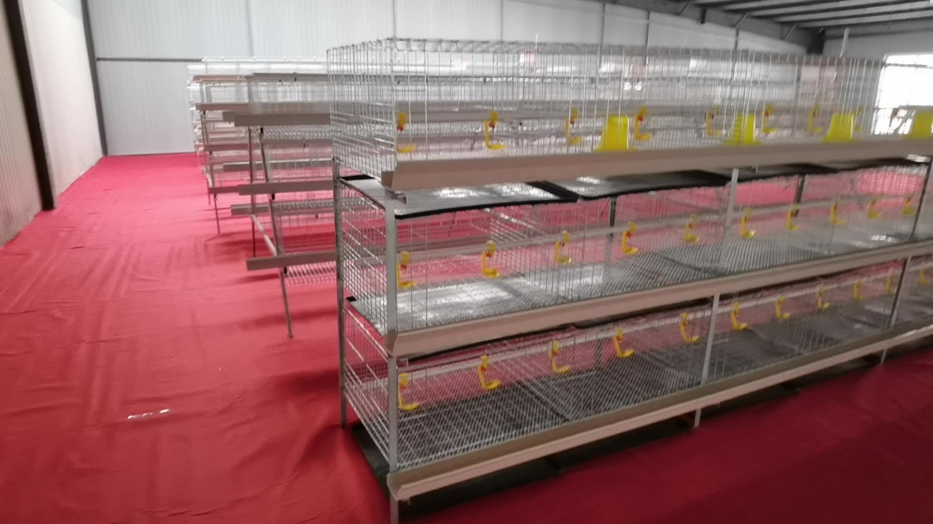 Chicken Cage Broiler Equipment H Frame Feeding Cage for Broiler Chicken Poultry Farm Coop Design Battery Chicken Cage System