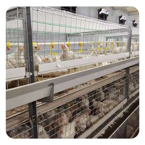 OEM Customized 3-12 tiers Poultry Farming Equipment H Type Chicken Battery Layer Broiler Cages System Birds Layer Cage for sale