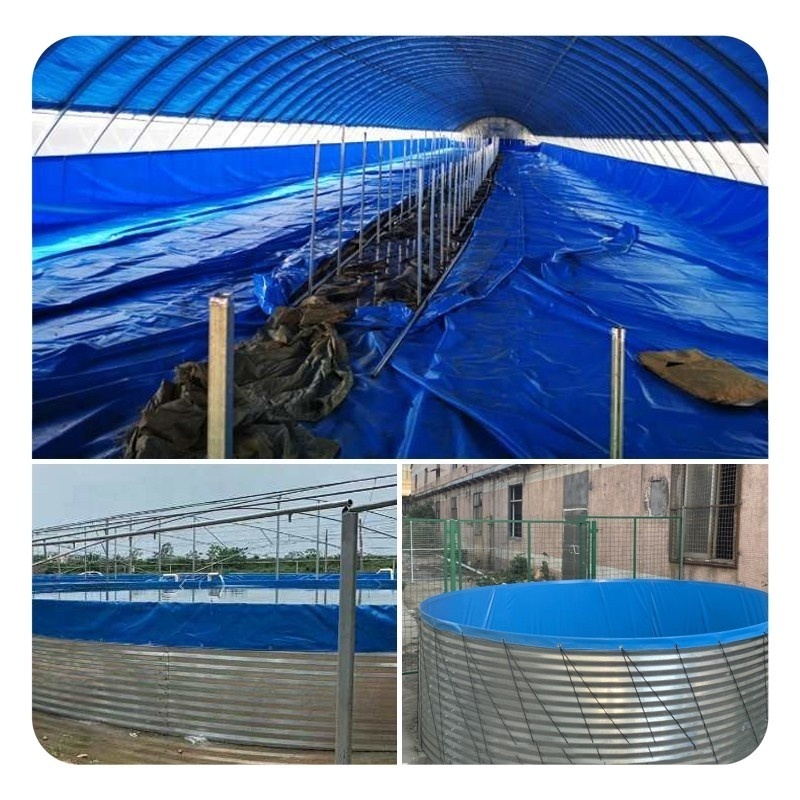 34000 Liter Diameter 6m x Height 1.2m Circular Aquaculture Pond For Fish Farming Steel Plate Support PVC Lining Fish Round Tank