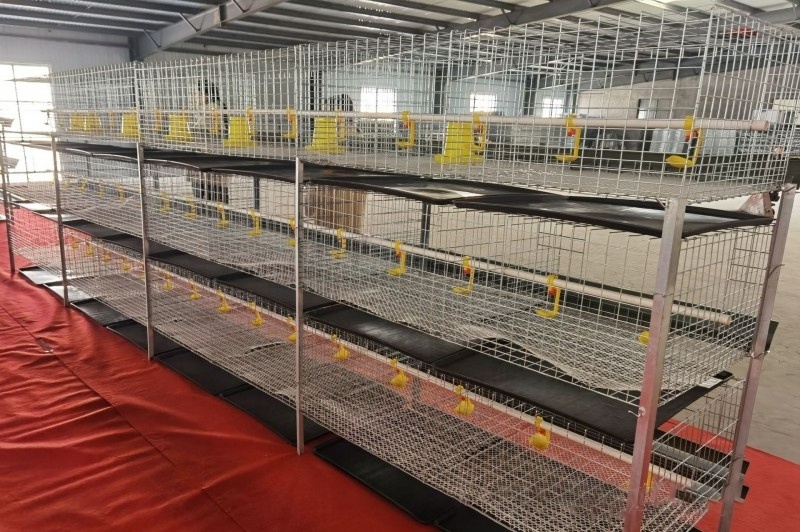 Chicken Module Rack Covers OEM Customized 3-12 tiers Poultry Farming Equipment H Type Chicken ...