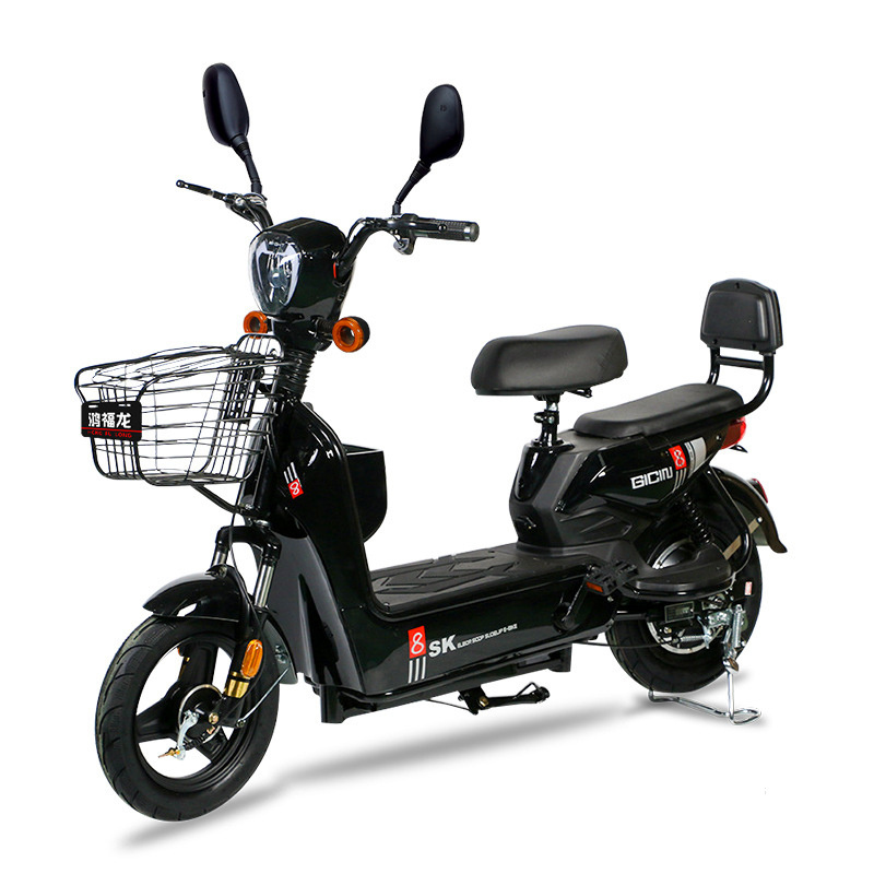 Hot Sale Electric Push E-Bike Factory Direct from China with Lead Acid Batteries Steel Frame 48V Voltage