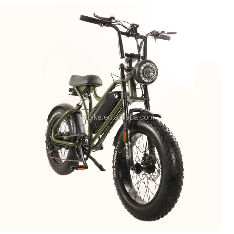 2023 Popular Style 10Ah 13Ah 17Ah 20Ah lithium battery 250W 350w 500w 750w motor adult electric bicycle e-bicycle bike fat tire