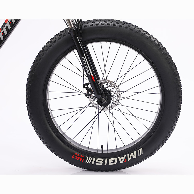 Adult Fashion 21 speed snow mountain bicycle big fat tire bikes on sale