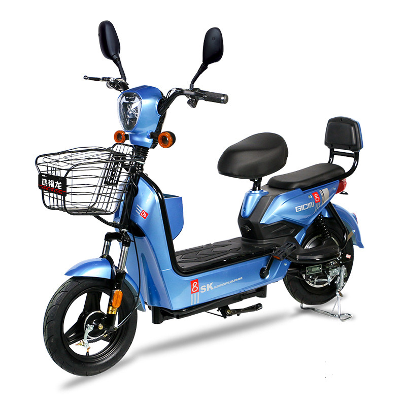 Hot Sale Electric Push E-Bike Factory Direct from China with Lead Acid Batteries Steel Frame 48V Voltage