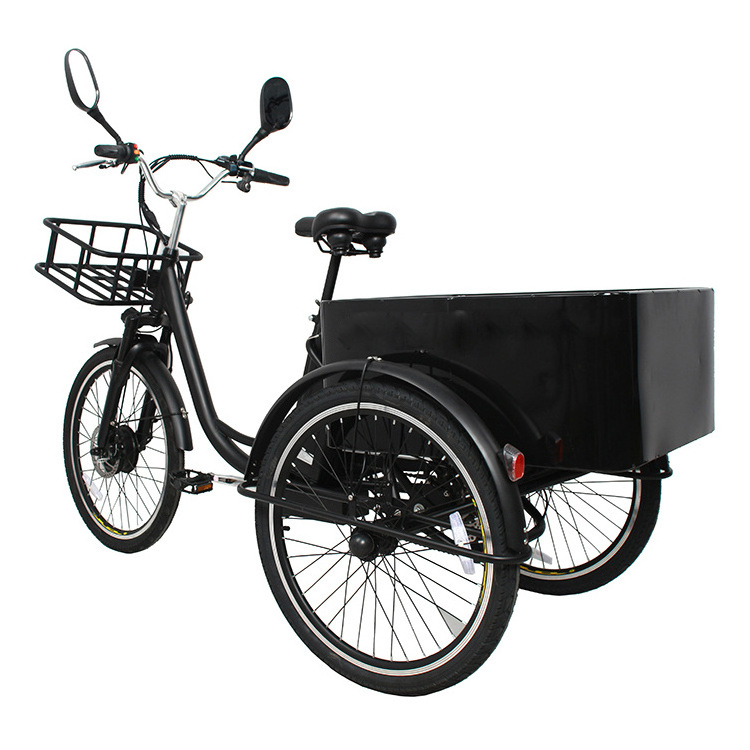 Electric Bicycle Three Wheel E trikes 24