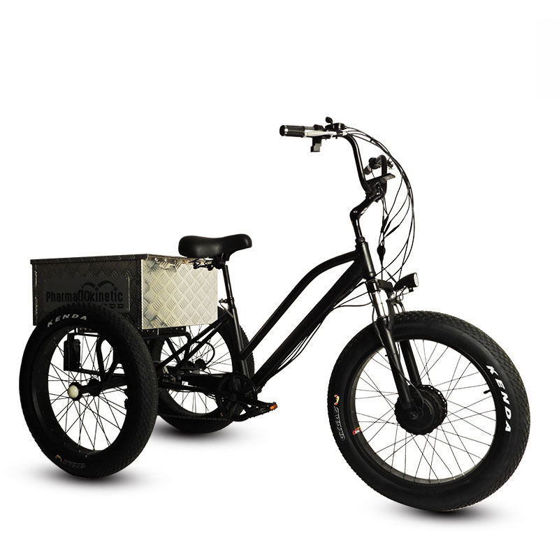 Hot Selling etrike Farm cargo e-tricycle 3 wheel electric tricycle utility Using electric tricycles 20 inch Fat Tire Etrike