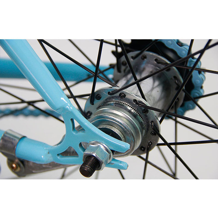 OEM Single Speed 700C Fixed Gear Bicycle Hot Sale Track Bike with V Brake and Bead Pedal