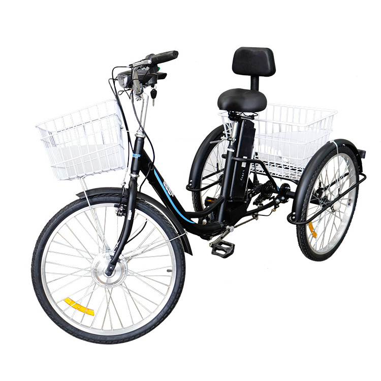 24 Inch Electric Trike Fat Tire 3 Wheel Electric Tricycle Three Wheels Adult 750W Cargo Electric Tricycle with Basket