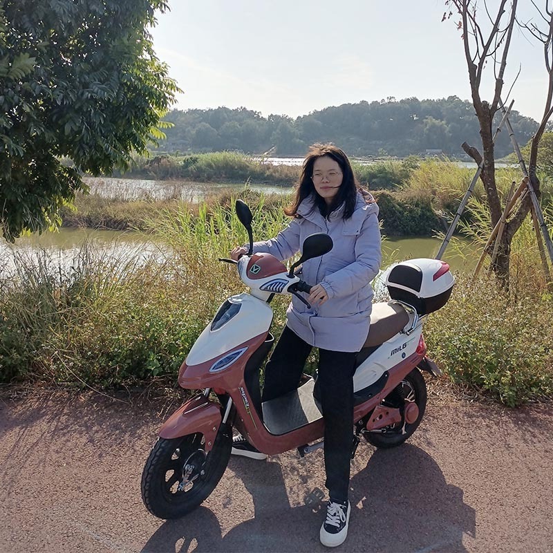 48 v rally electric bike electric scooter guangzhou trade