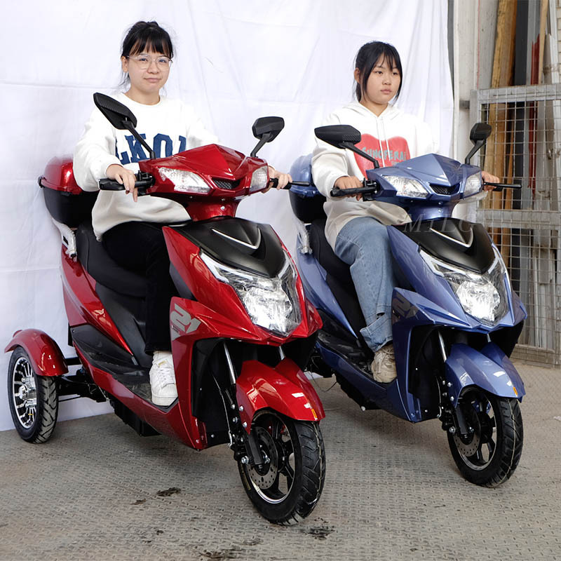 MILG Tricycle Philippines 12pipes Electric Bike Three Wheel 1000W Eletricos Tricycle for Cargo