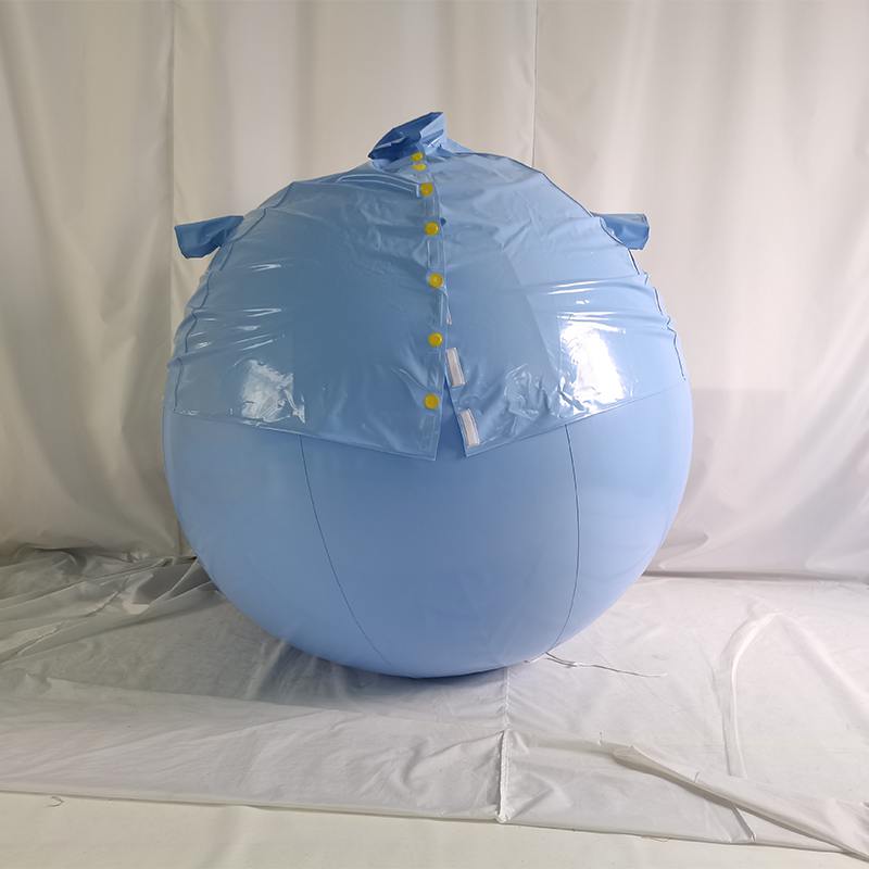 New Design Custom Inflatable Blueberry Ball Suit Funny Inflatable Suit For Sale