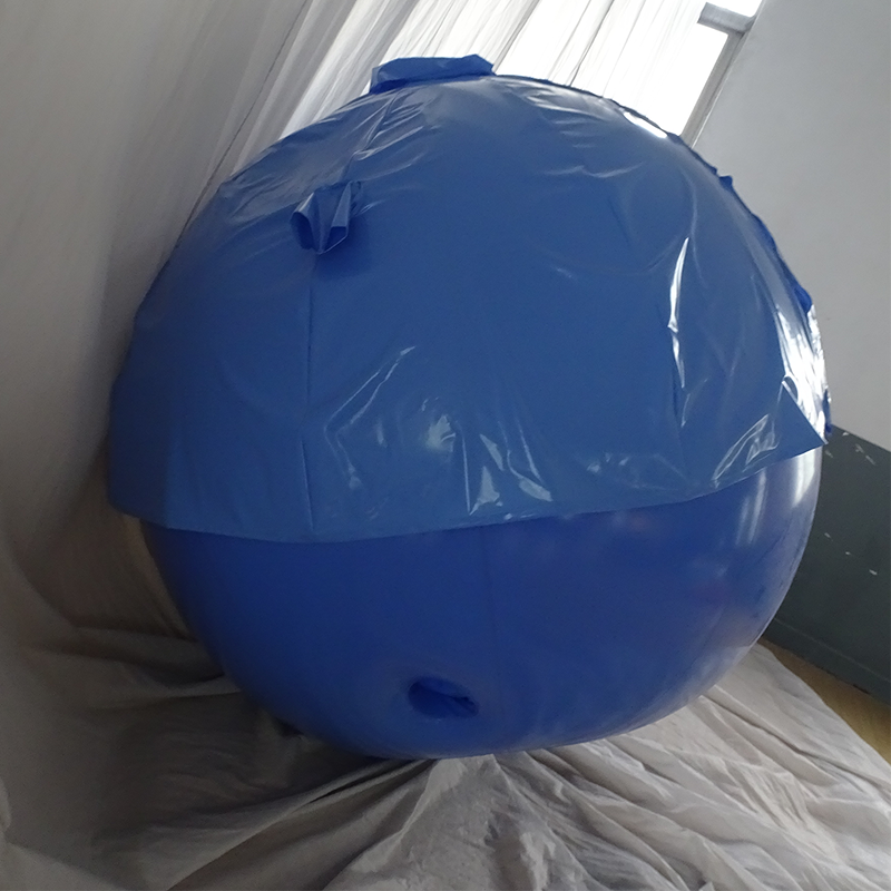 New Design Custom Inflatable Blueberry Ball Suit Funny Inflatable Suit For Sale