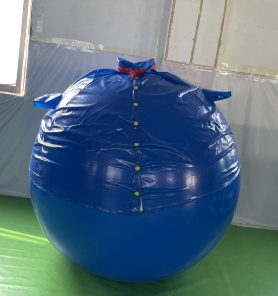 Factory Price Body Inflatable Suit Huge Inflatable Suit Blueberry Suit For sale