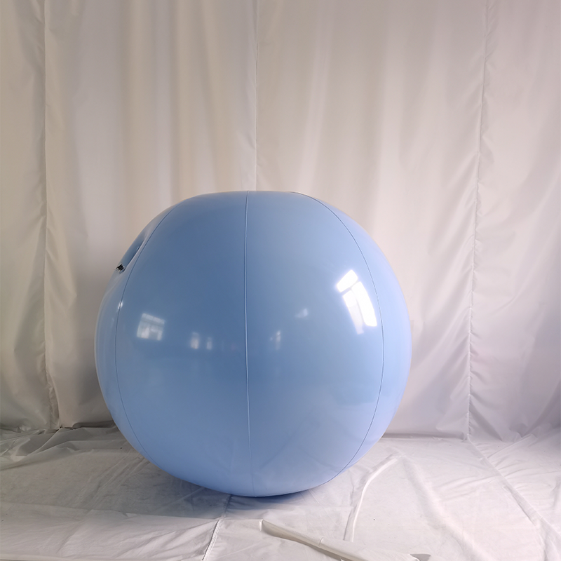 Customized Size Funny Inflatable PVC Ball Suit Game Role Playing Inflatable Blueberry Suit