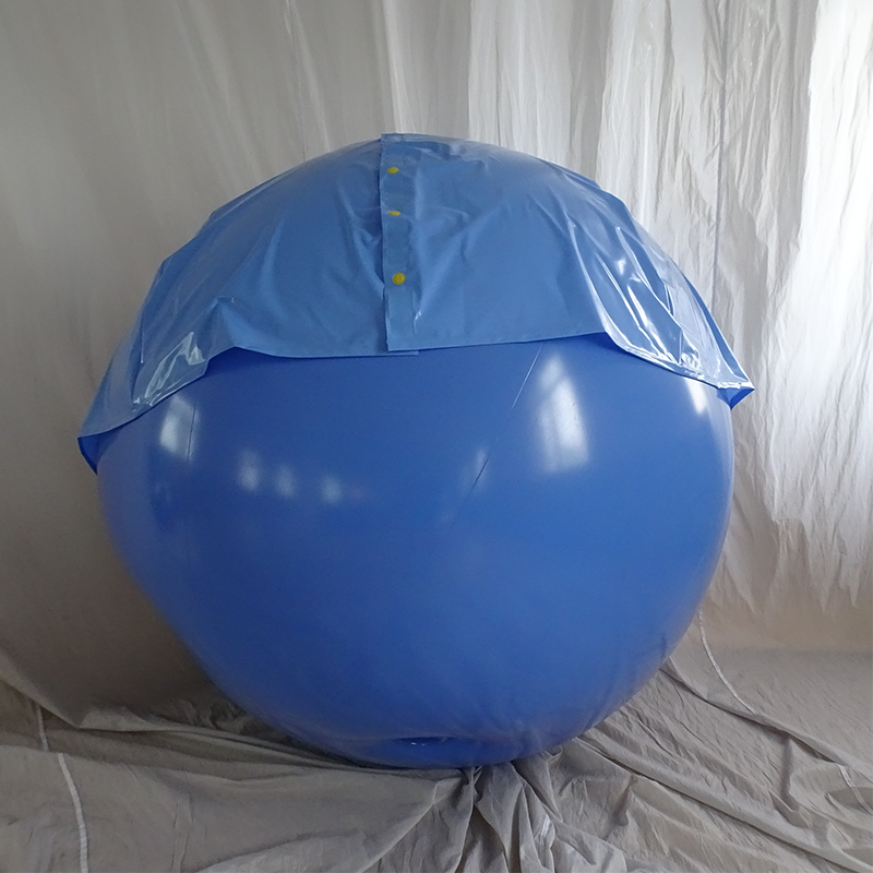 New Design Custom Inflatable Blueberry Ball Suit Funny Inflatable Suit For Sale