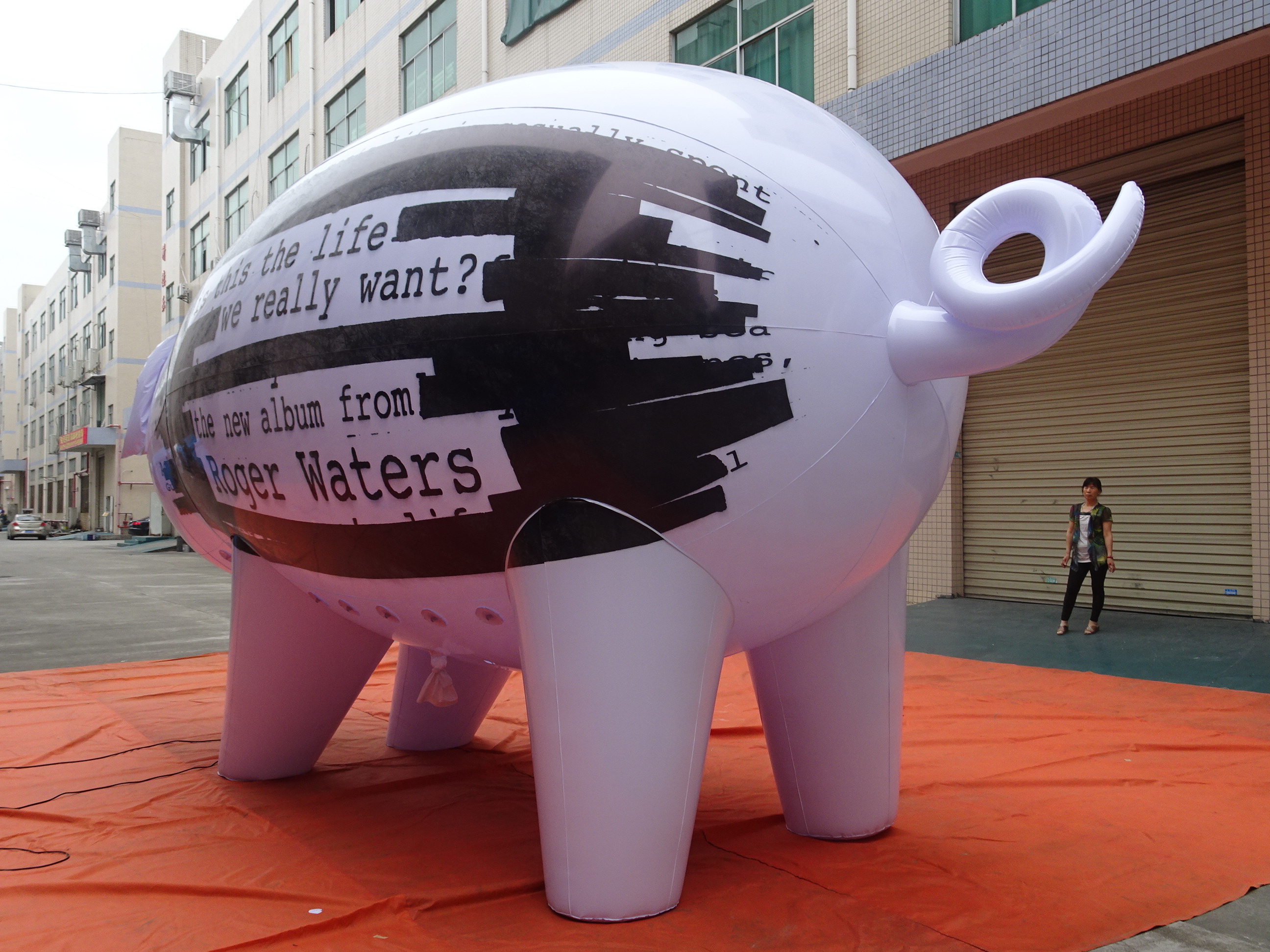 Factory Giant Inflatable Custom 2.5 m Pig Balloons Inflatable white Pig For Advertising