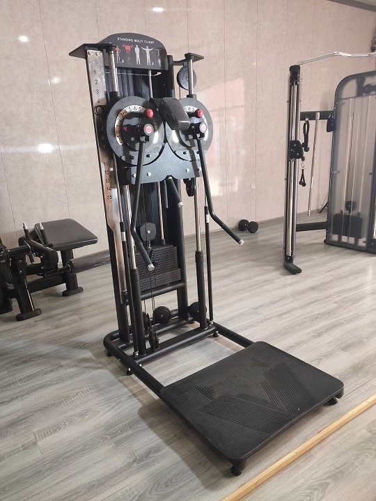 Multi Functional Gym Pin Load Selection Machines Standing Lateral Raise Machine Standing Multi Flight