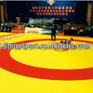 2016 Chinese Standard cheap high quality Wrestling Mats for sale