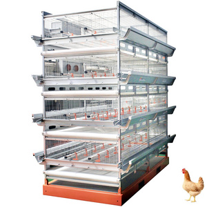 High quality broiler cage new design ventilate battery cage automatic manure removal cage