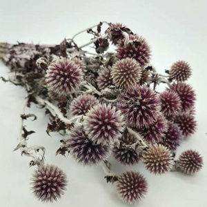 D050880 Natural dried Thistle Spray Eryngo Eryngium Foetidum Sea Holly dried flower balls preserved Thistle for Wedding Bouquet