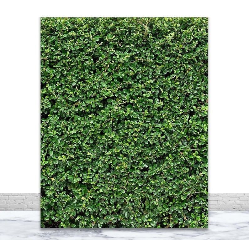 T257 Party Decoration Indoor Outside UV Grass On Wall Covering  Living Panel Foliage Vertical Garden Artificial Green Grass Wall