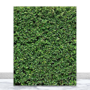 T257 Party Decoration Indoor Outside UV Grass On Wall Covering  Living Panel Foliage Vertical Garden Artificial Green Grass Wall