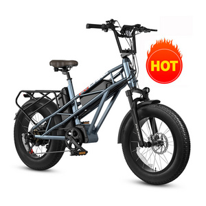 Eu Us Ca Warehouse Stock 20" Electric Bike  for Adults Electric Mountain Bike with 750W 1000W Motor, Electric Fat Tire Bicycles