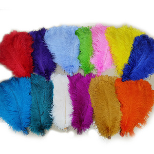 Wholesale import carnival 2024 festival dyed ostrich feather for Jamaica Events Carnival Show