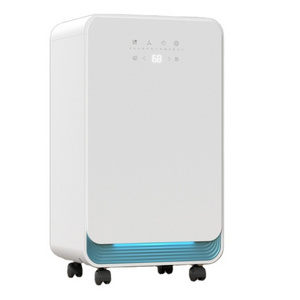 10L/Day Display Home Dehumidifier Easy Smart Mini Dehumidifier