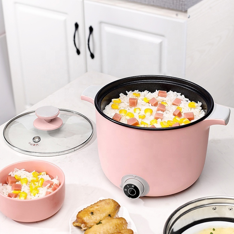 Multi-function Household Steam Noodle Pot Stainless Steel Electric Rice Cooker mini Electric Dual-purpose steamer Hot Pot