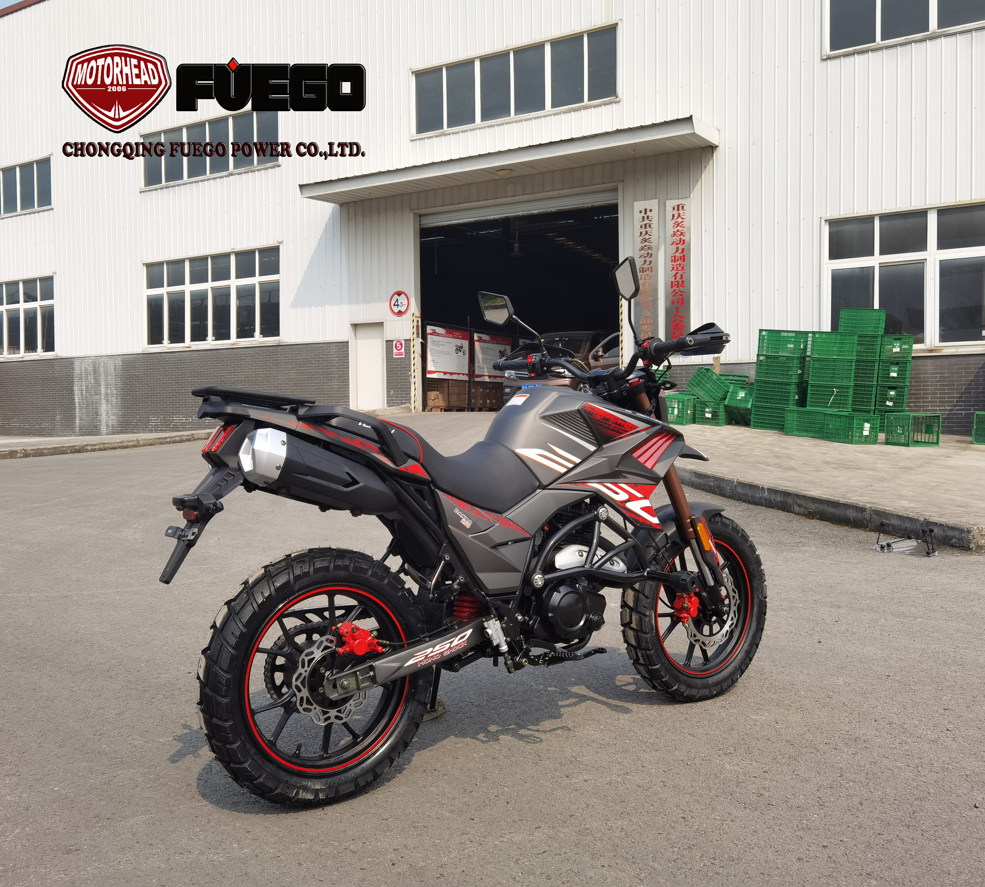 250cc 2 wheel motorcycle TEKKEN250